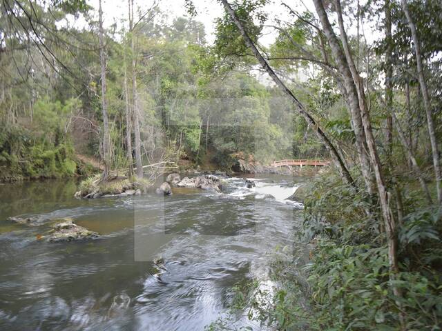 Sítio para Venda em Juquitiba - 5