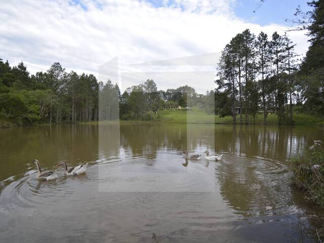 #AU70510 - Fazenda para Venda em Juquitiba - SP - 3