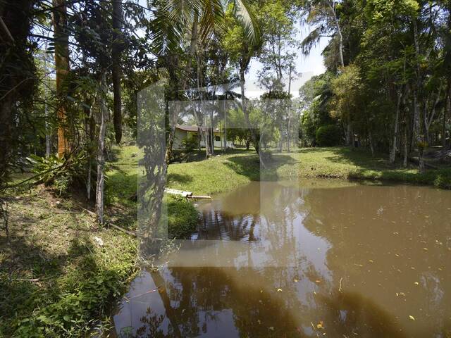 Sítio para Venda em Juquitiba - 5