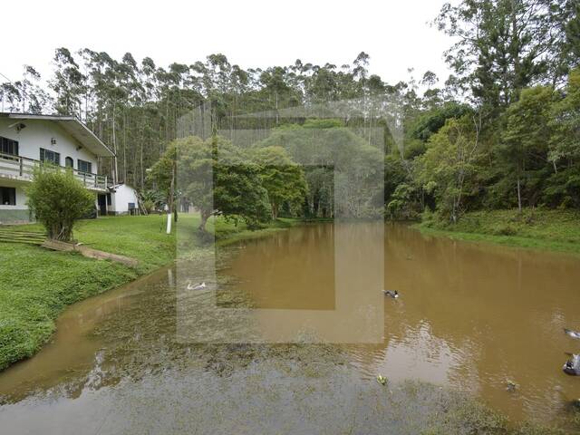 Sítio para Venda em Juquitiba - 5