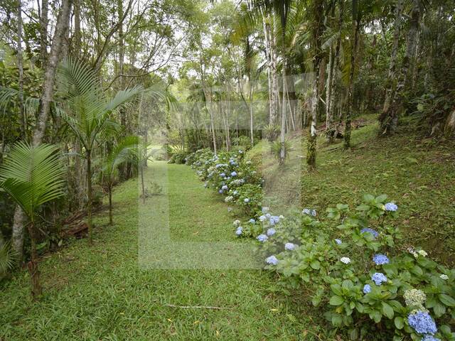 Sítio para Venda em Juquitiba - 4