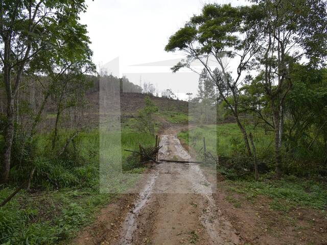 Terreno para Venda em Juquitiba - 4