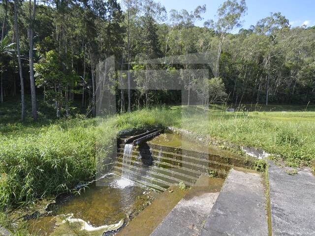 Sítio para Venda em Juquitiba - 4