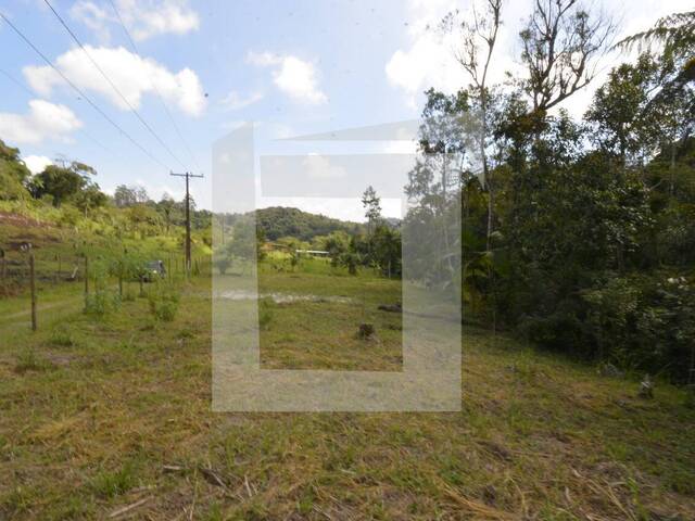 Terreno para Venda em Juquitiba - 4