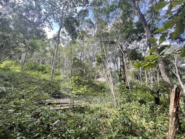 Terreno para Venda em Juquitiba - 4