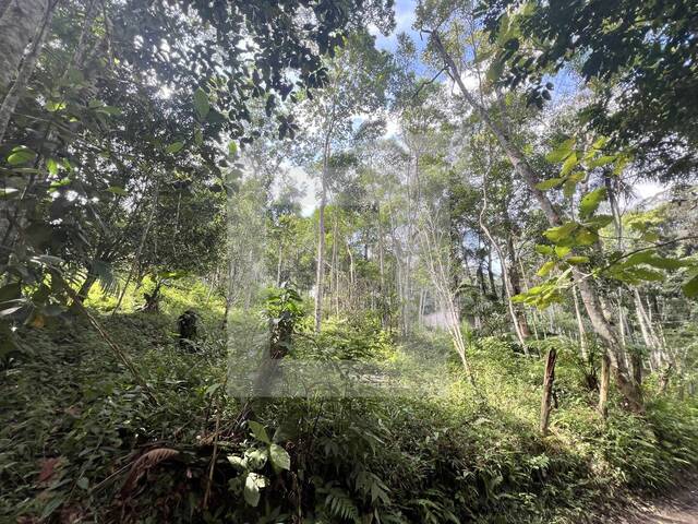 Terreno para Venda em Juquitiba - 5