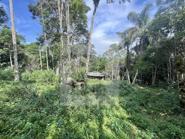 Terreno para Venda em Juquitiba - 4