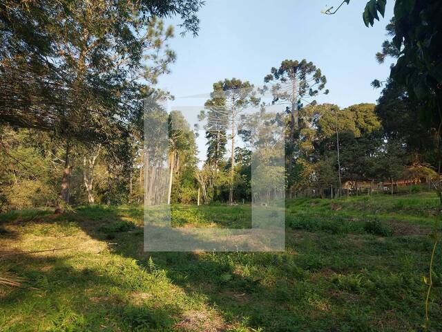 Terreno para Venda em Juquitiba - 1