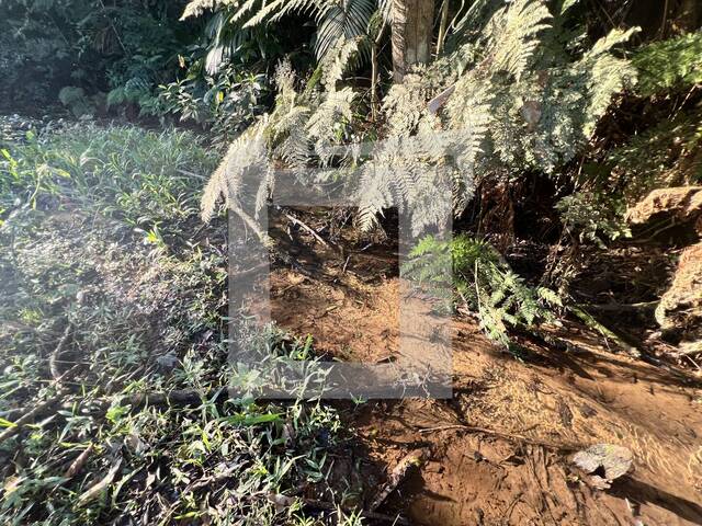 Terreno para Venda em Juquitiba - 5