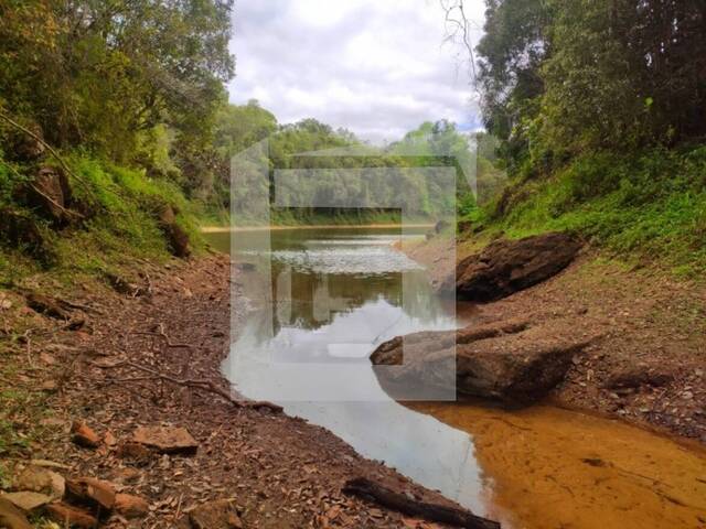 Sítio para Venda em Juquitiba - 5