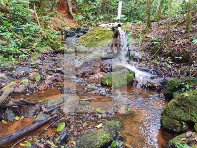 Sítio para Venda em Juquitiba - 3