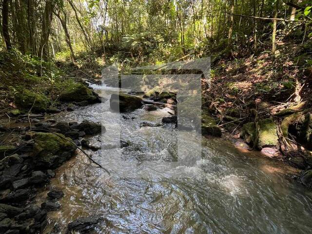 #FE01 - Sítio para Venda em Juquitiba - SP - 2