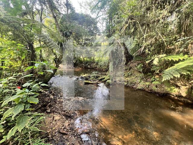 #189 - Sítio para Venda em Juquitiba - SP - 1